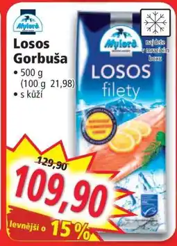 Norma LOSOS GORBUŠA nabídka