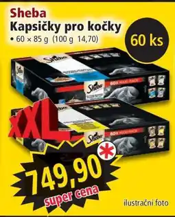 Norma Sheba kapsičky pro kočky nabídka