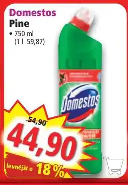 Norma Domestos nabídka