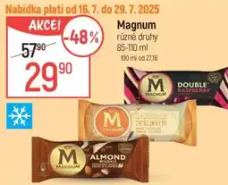 Globus Magnum různé druhy nabídka