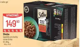 Globus Sheba kapsičky pro kočky nabídka