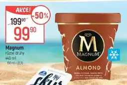 Globus Magnum různé druhy nabídka
