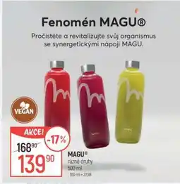Globus MAGU různé druhy nabídka