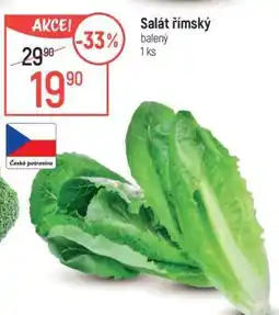 Globus Salát římský nabídka