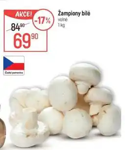 Globus Žampiony bílé nabídka
