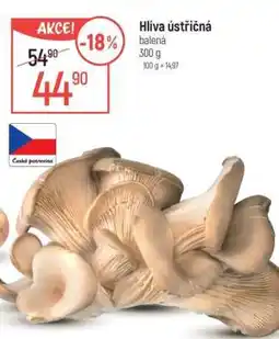 Globus Hlíva ústřičná nabídka