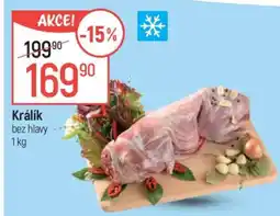 Globus Králík bez hlavy nabídka
