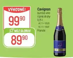 Globus Cavignon nabídka