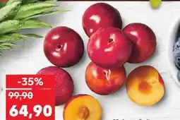 Kaufland Blumy nabídka