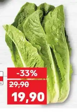 Kaufland Salát římský nabídka
