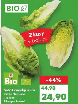 Kaufland Salát římský mini nabídka