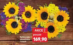 Kaufland Kytice mix slunečnice nabídka