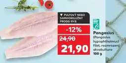 Kaufland Pangasius nabídka