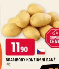Terno Konzumní brambory 1kg nabídka