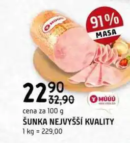 Terno Šunka nejvyšší jakosti 100g nabídka