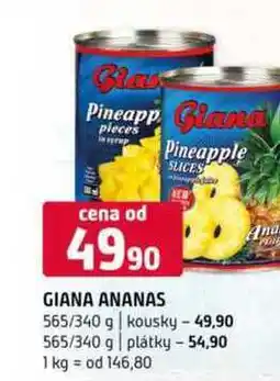 Terno Giana ananas 565/340 g kousky 565/340 g plátky nabídka