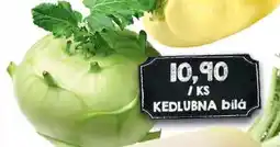 Jip Kedlubna bílá nabídka
