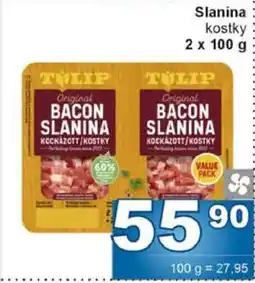 Jip SLANINA nabídka