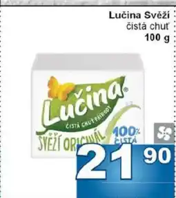 Jip LUČINA svěží nabídka