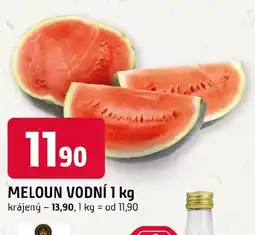 Trefa Meloun vodní nabídka