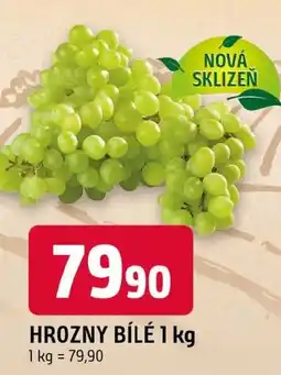 Trefa Hrozny bílé nabídka
