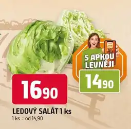 Trefa Ledový salát nabídka