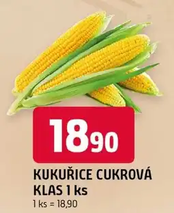Trefa Kukuřice cukrová klas nabídka