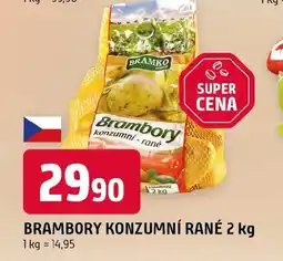 Trefa Brambory konzumní rané nabídka