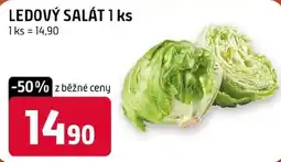 Trefa Ledový salát nabídka