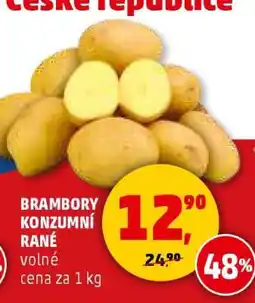 Penny Market Brambory konzumní rané nabídka