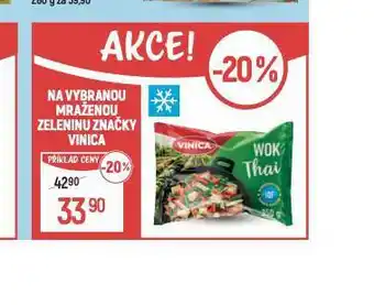 Globus Vinica mražená zelenina nabídka