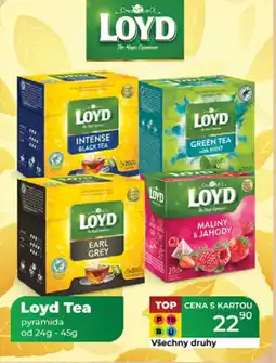 Loyd Tea pyramida