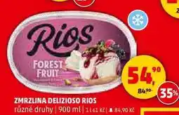 Penny Market ZMRZLINA DELIZIOSO RIOS různé druhy, 900 ml nabídka