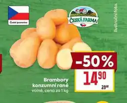 Billa Brambory konzumní rané volné, cena za 1 kg nabídka