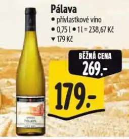 Albert Pálava nabídka