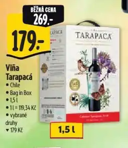 Albert Viña Tarapacá nabídka