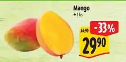 Albert Mango nabídka