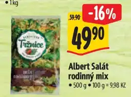 Albert Albert Salát Rodinný mix nabídka