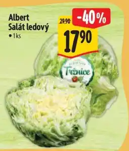 Albert Albert Salát ledový nabídka