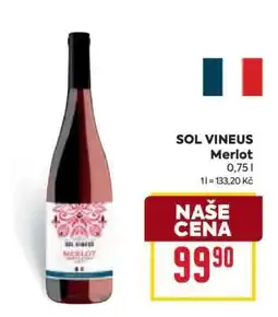 Billa SOL VINEUS Merlot nabídka