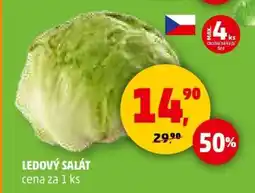 Penny Market Ledový salát nabídka
