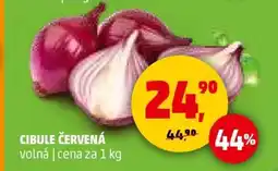 Penny Market Cibule červená nabídka