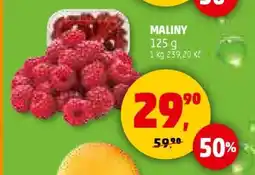 Penny Market Maliny nabídka