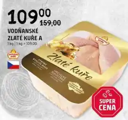 Terno VODŇANSKÉ ZLATÉ KUŘE A nabídka