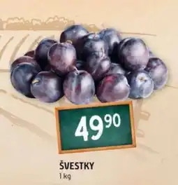 Terno Švestky nabídka