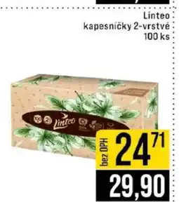 Jip Linteo nabídka