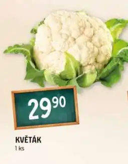 Terno Květák nabídka