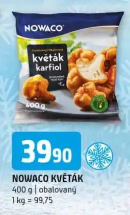 Terno NOWACO KVĚTÁK nabídka