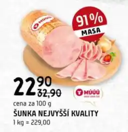 Terno ŠUNKA NEJVYŠŠÍ KVALITY nabídka