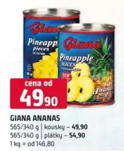 Terno Giana Ananas nabídka